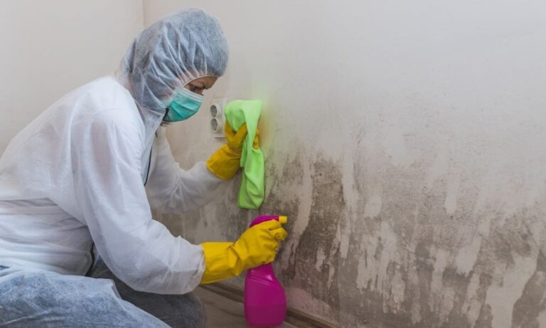 aloharestorationco-109900-mold-removal-remediation-blogbanner1