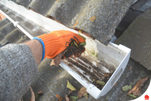 Tips for Clear and Preventing Blocked Stormwater Drain