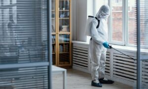 How to Choose the Right Pest Control Company in Melbourne