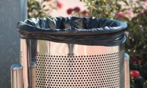 Ultimate guide to choosing the right trash bin cleaning service