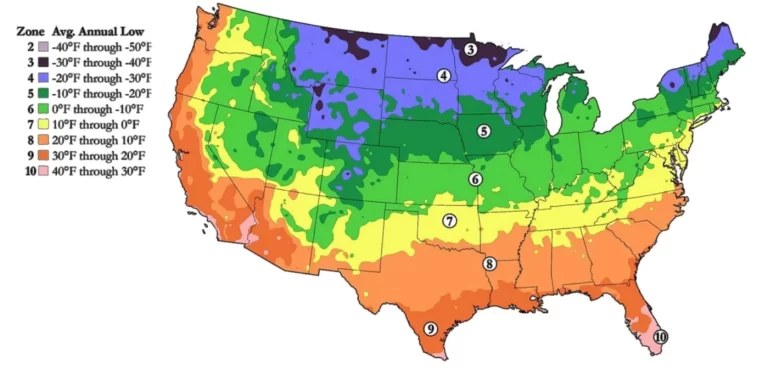 hardiness-growing-zones-map_1024x1024_e9004391-93df-47ff-9649-ec809bfb4d41