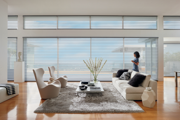 Motorized Blinds and Shades