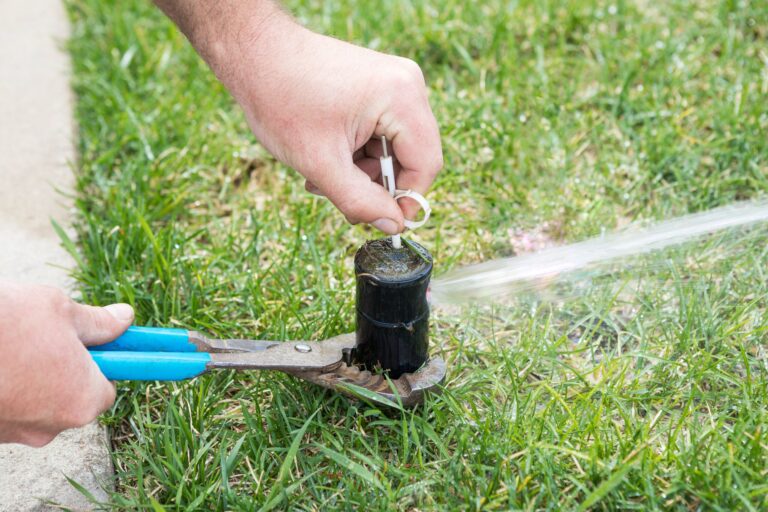 How to Successfully Start Up Your Sprinklers in Spring